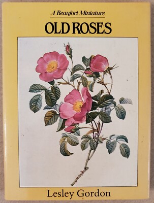 Old Roses by Lesley Gordon