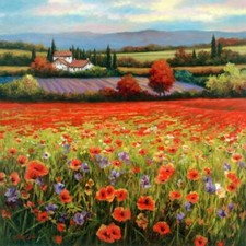Ceramic Backsplash Tile Mural Tuscany Scene Kitchen/Bathroom - Poppy Pastures I