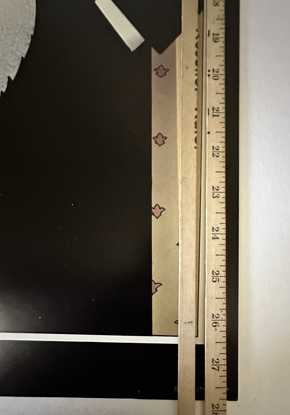 Picture 12 of 13