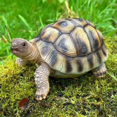 Schildkröte Garten Ornament Figur Haus Outdoor Statue Schildkrötenliebhaber Geschenk