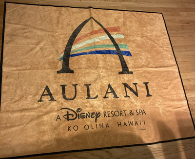 Aulani Disney Resort Spa Blanket Towel Waterproof Backing Sand proof Vguc 59x48