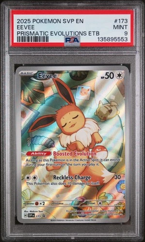 2025 POKEMON SVP EN-SV BLACK STAR PROMO #173 EEVEE PSA 9