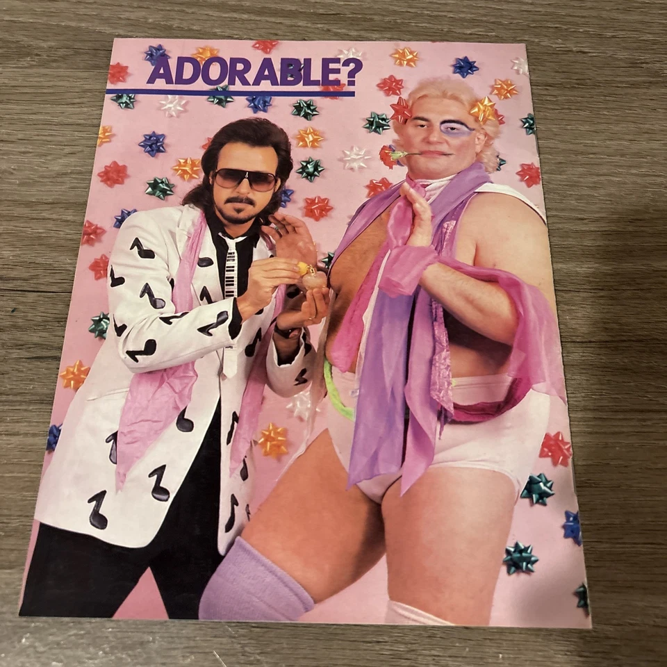 WWF Program Volume Number 134, Jim, The Anvil Neidhart - Image 2 of 2