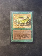 Thicket Basilisk (CE) Collector's Edition Mtg NM