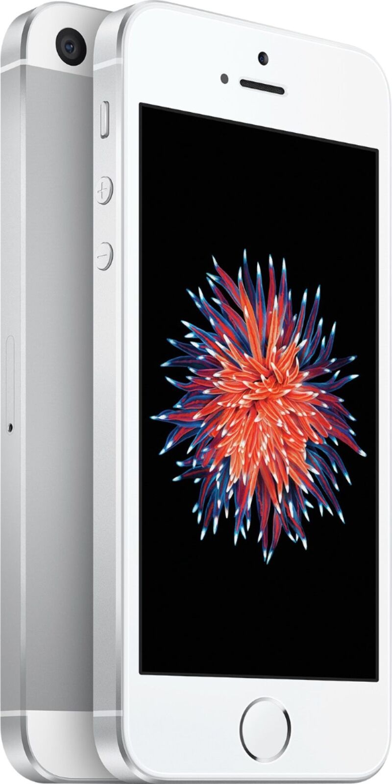 Выход apple se. Смартфон Apple iphone se 32gb. Айфон 5 se 32 ГБ. Iphone se 32 GB Silver. Айфон se 2016 32 ГБ.