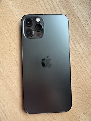 Apple iPhone 12 Pro Max - 256GB - Graphit (Ohne Simlock) (Dual-SIM)