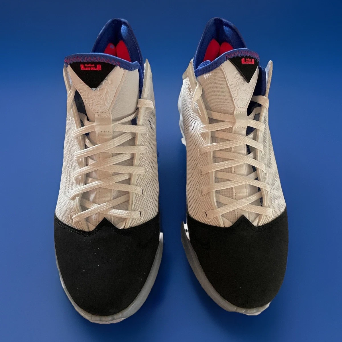 Nike LeBron 19 Low Black Toe | eBay
