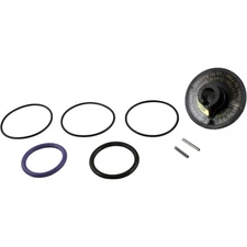 Rebuild Kit, Zodiac Jandy Slide Valve : R0442100