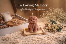 Dog Memorial Gift Box Rainbow Bridge