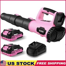 Cordless Leaf Blower 21V 2 Batteries Fast Charger 420CFM Lightweight Easy Use