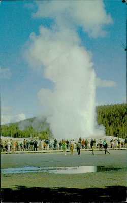 #ad Old Faithful Geyser Yellowstone National Park Vintage Unposted Postcard $4.95