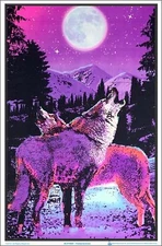 Timberwolves Flocked Blacklight Poster 23" x 35" Two Wolves Under Moonlight