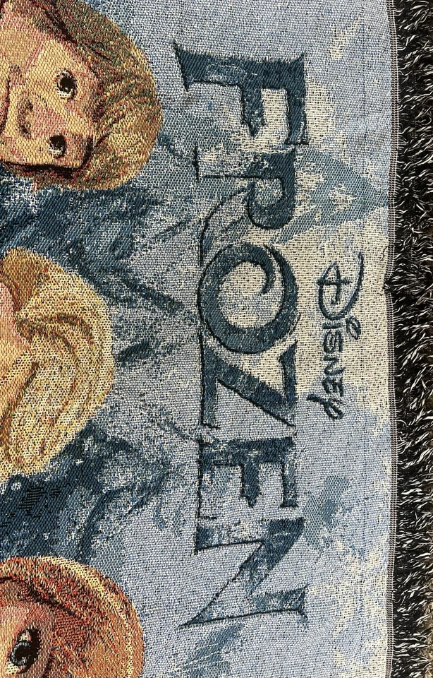 Manta de tapiz Frozen de Disney Elsa Anna Olaf y Kristoff cálida y acogedora Foto 3 de 3