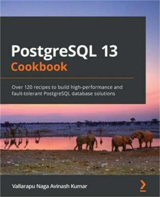 PostgreSQL 13 Cookbook: Over 120 recipes to build high-performance and fault-tol