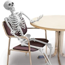 5.4ft Skeleton Size Poseable Human Halloween Party Prop Haunted House Yard Decor