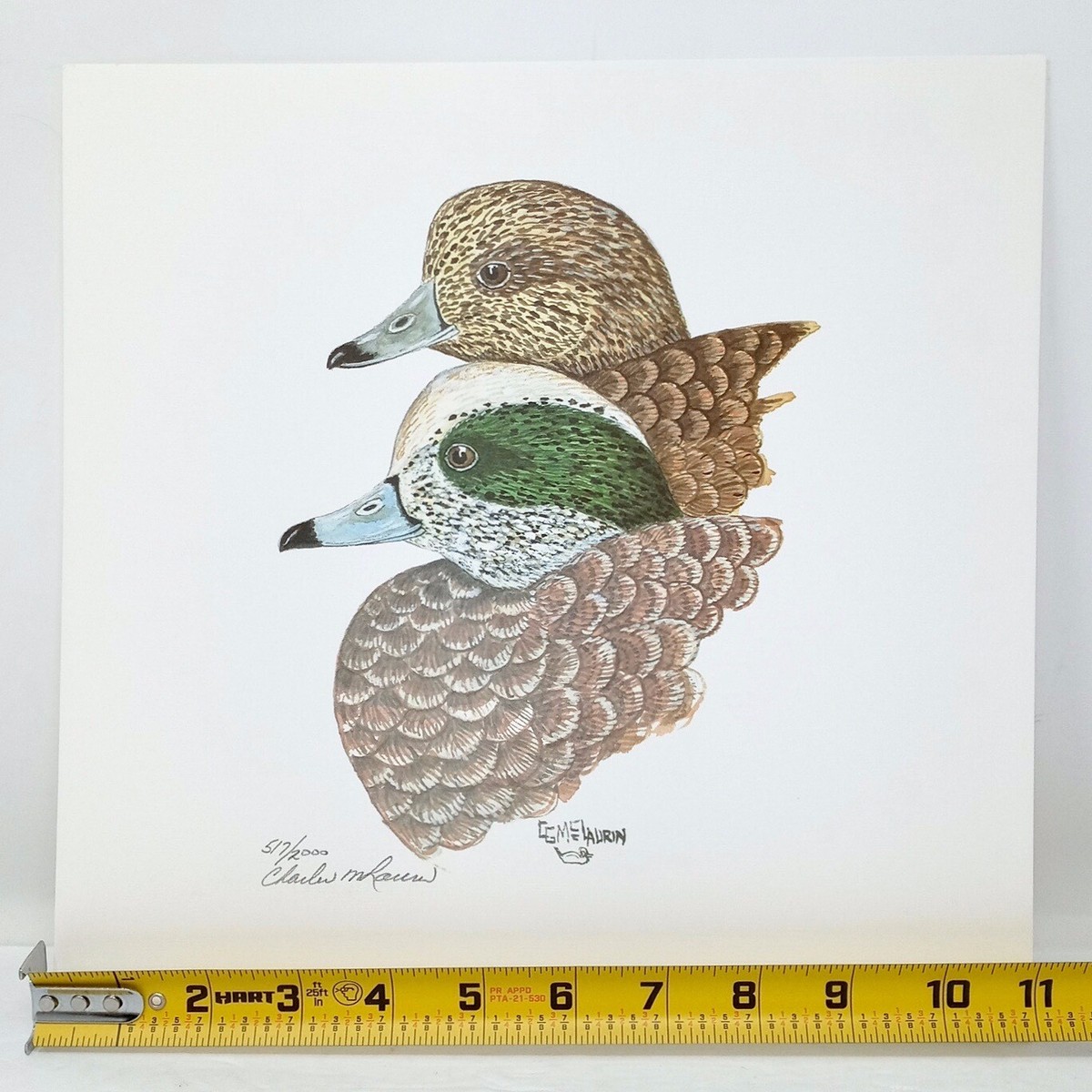 スティーブン　ヒューネック氏のパグ Vintage Charles G McLaurin American Widgeon Duck 11