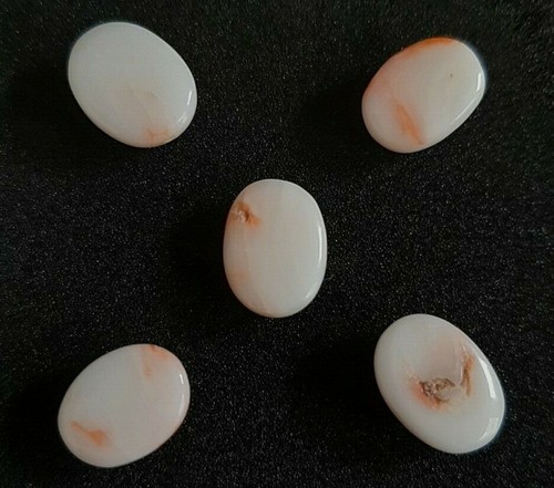 5'Pcs100%Natural japan's coral cabochon,White Pink Precious coral Loose gemstone - Picture 6 of 6