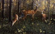 Ceramic Backsplash Tile Mural Deer Elk Kitche...