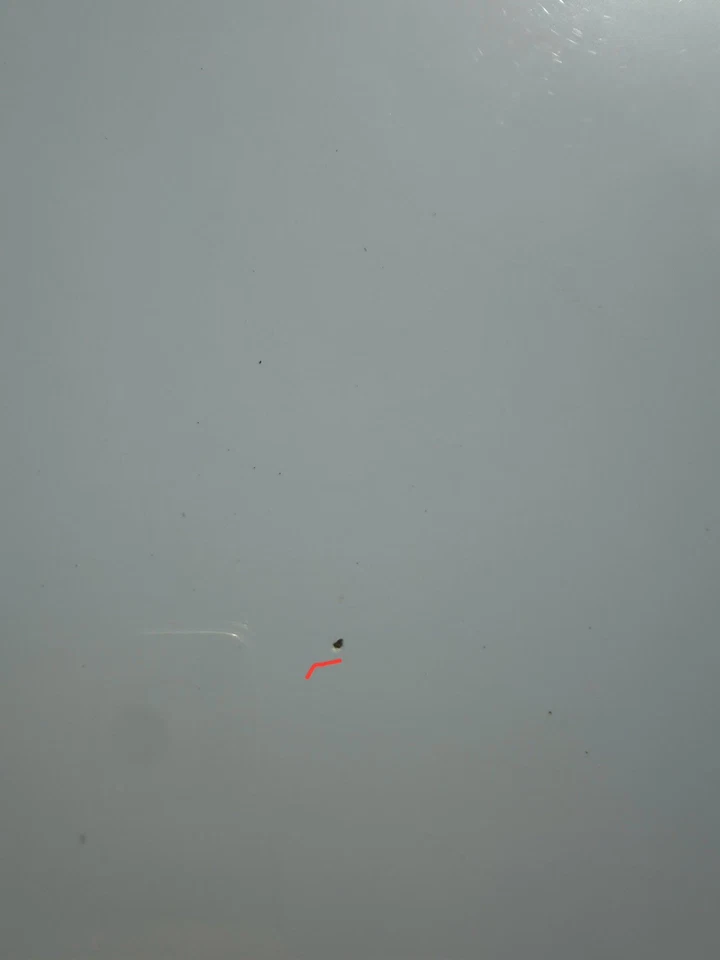 AUDI Q5 SQ5 2018-2025 CAPÓ DELANTERO PANEL (BLANCO - T9 / Y9C) Foto 3 de 4