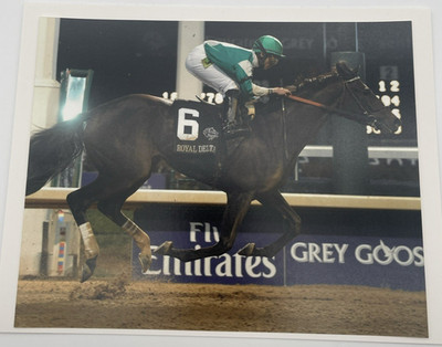 2011 Breeders Cup Ladies  Classic Royal Delta & Jose Lezcano 8x10 Photo