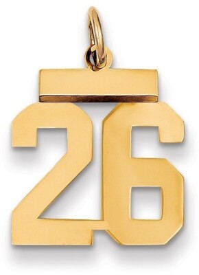 14K Yellow Gold Small Polished Number 26 Charm LS26
