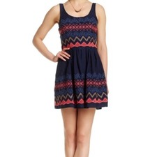 Want & Need Sleeveless Embroidered Skater Dress