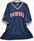 Pawsox Pawtucket Red Sox Short Sleeve Replica Jersey #5 GARCIAPARRA Size XL NEW