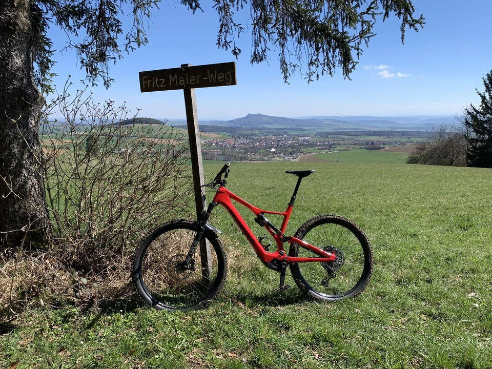 Specialized Turbo Levo SL Comp Carbon - 320 Wh - 29 Zoll Rahmengröße XL - Bild 3 von 4