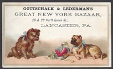 LANCASTER, PA ~ GOTTSCHALK & LEDERMAN’S NEW YORK BAZAAR STORE ~ 2 PERROS ~ 1880s