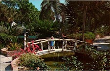 Sarasota Florida FL : BRIDGE SCENE m/14 AX2303