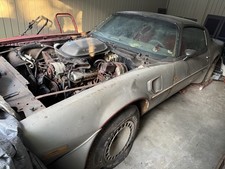 1979 Pontiac Trans Am for Sale