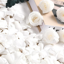 Dried Real Rose Petals, Natural Preserved Dry Flower Petals for Wedding Party Di