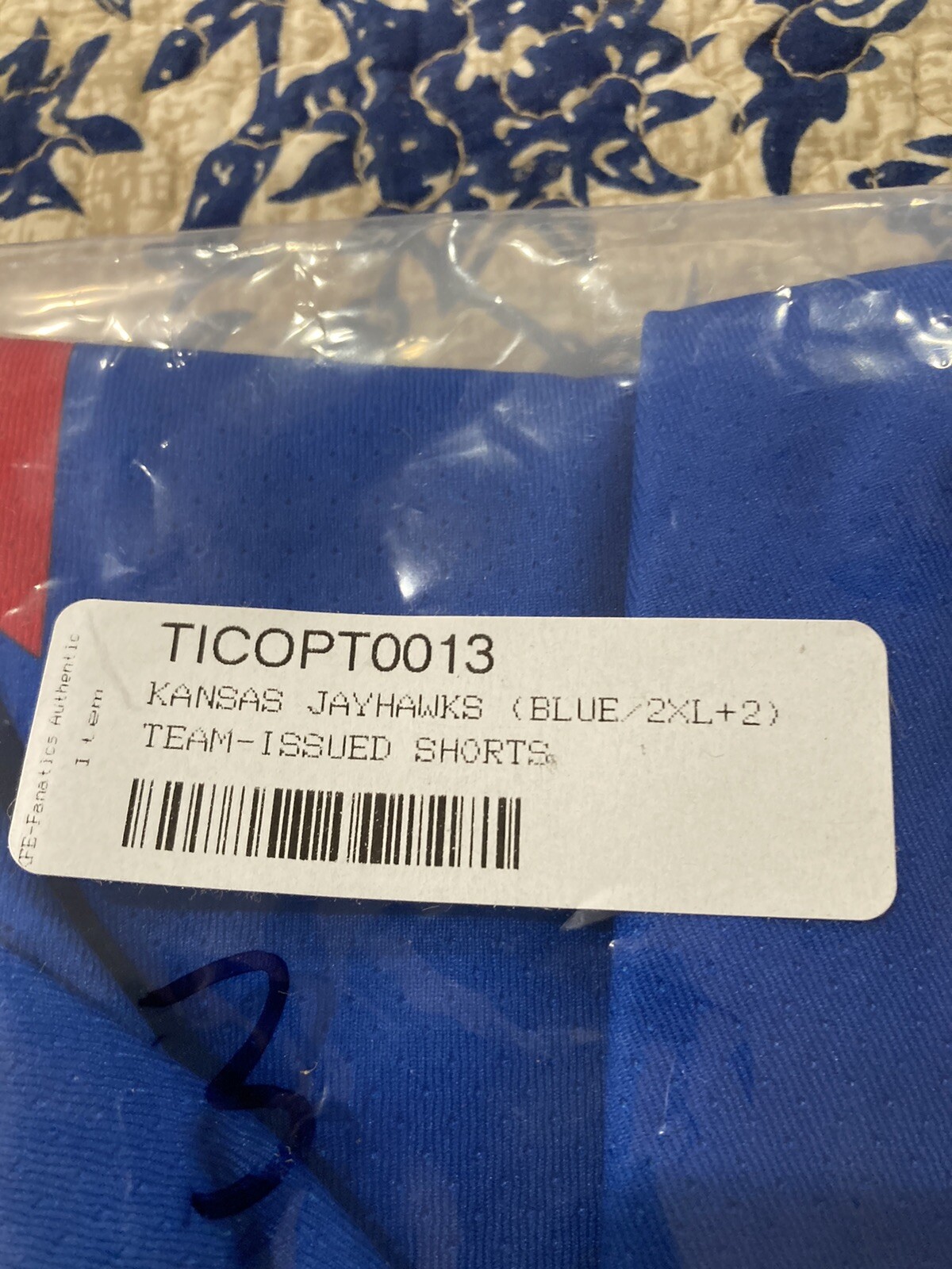 Foto 10 di 10