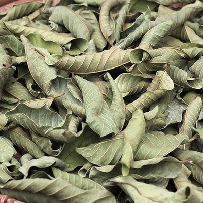 Dry Guava Leaf For Tea, Guava Leaf For Thyroid Treatment , Herbal , Food Grade