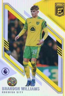 Brandon Williams 2021-22 Panini Donruss Elite Premier League Soccer #124