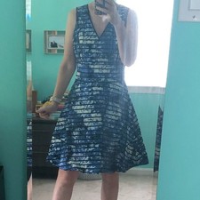 Banana Republic Blue Floral Stripe V Neck Sleeveless Fit Flare Dress Size 8