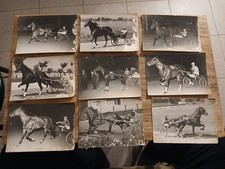 Lotto 9 FOTOGRAFIE CAVALLI AL TROTTO Fotografia Biasini Cesena Anni 50