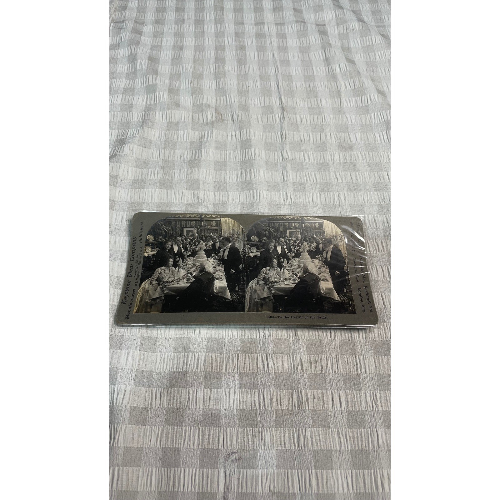 Keystone View Co Stereoview Card 10482 To the Health of the Bride Wedding Card