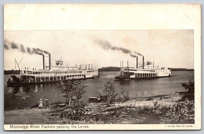 Vintage Mississippi River Packets Steamboats Levee Postcard A. Selige AA160