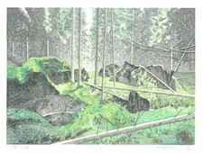 Junichi Mibugawa Woodblock Print: Forest of Fallen Trees