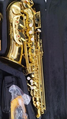 Kaerntner Alto Sax KAL62 | eBay