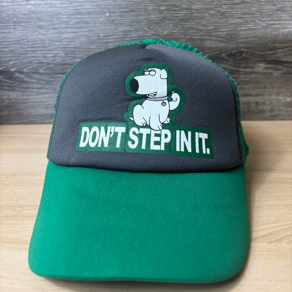 Gorra de hombre de familia Snapback verde camionero cerebro zorro espectáculo de dibujos animados ajustable Foto 2 de 4