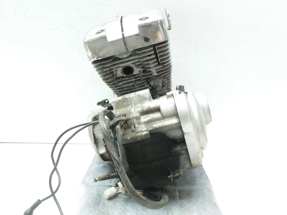 Motor Yamaha XV250 02 Virago 250 GARANTIZADO 2UJ-047935 Foto 3 de 4