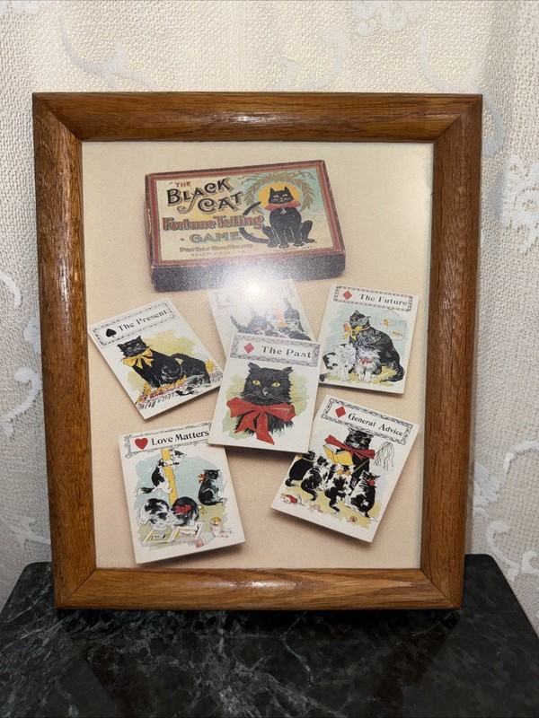 Vintage Book Photo Framed The Black Cat Fortune Telling 11.5 X 9.5