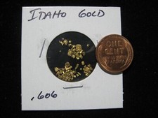 IDAHO GOLD NUGGET .606 GRAM 5132.07 per troy oz