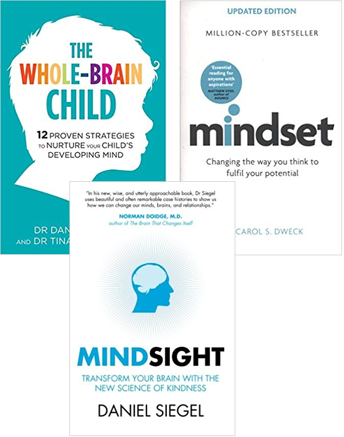 Whole-Brain Child Mindset Mindsight Developing Mind 3 Books Collection Set New