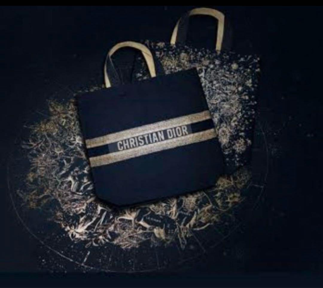 Dior Blue Oblique Canvas Tote Bag New Arrivals