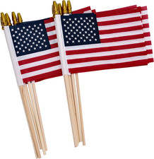 12 Pack Small American Flags on Stick Small US Flags/Mini American Flags for out