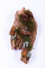 Moss on Driftwood Mushroom Natural Wall Decor Vertical Garden Hanging Preserved