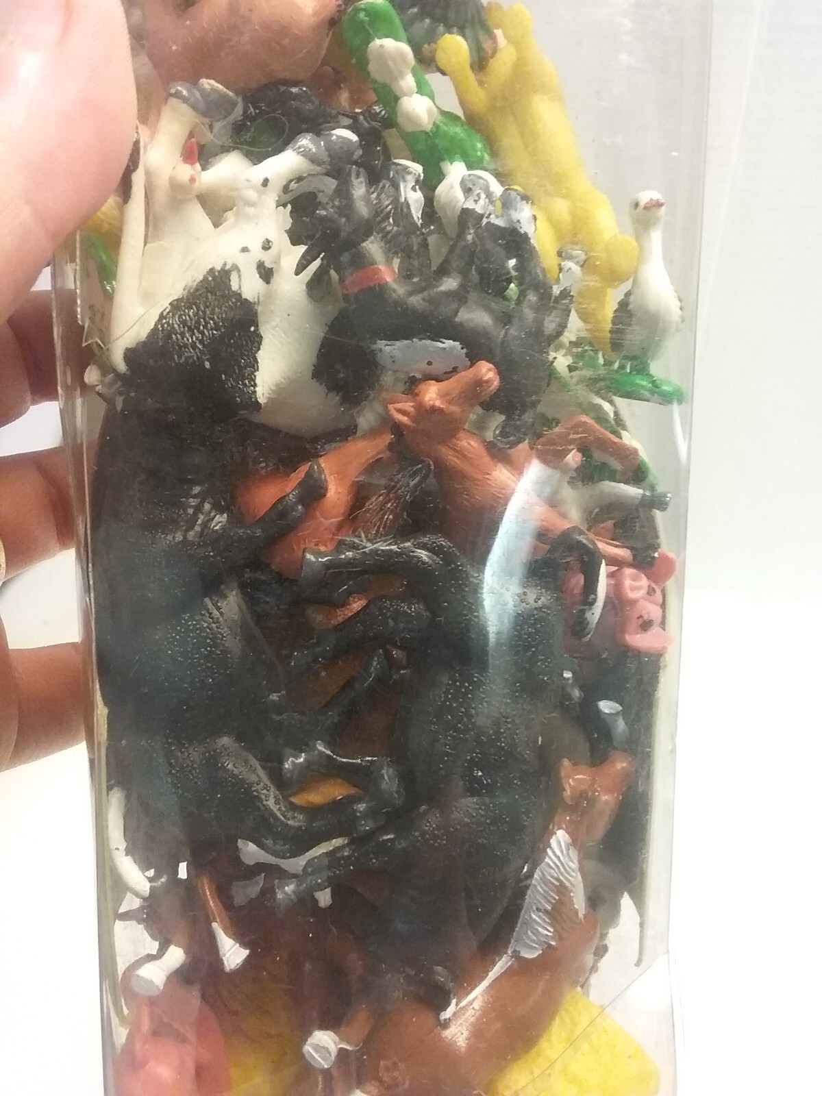 Picture 20 of 21